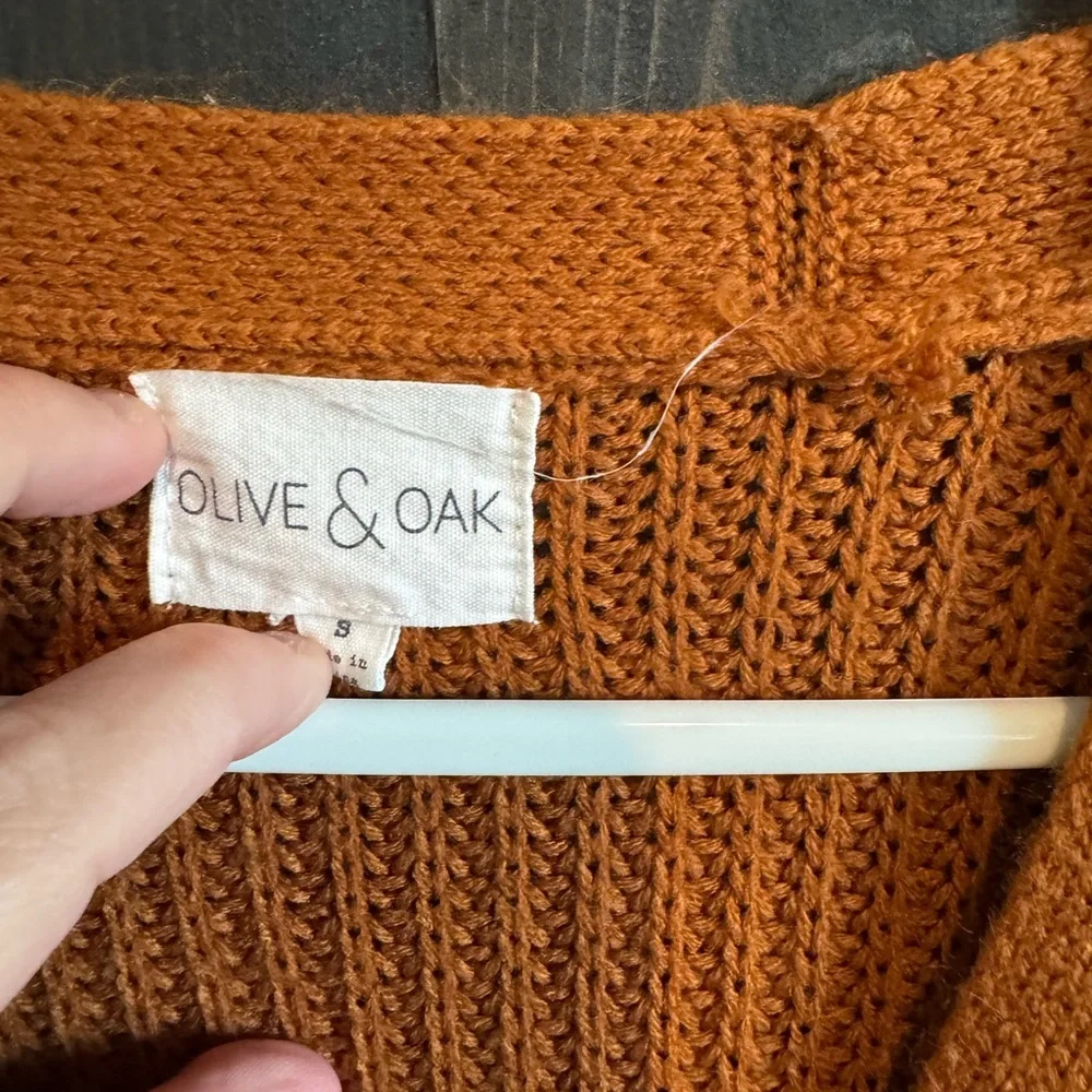 Olive & Oak Rust Knit Sweater Dress - Picture 3 of 3